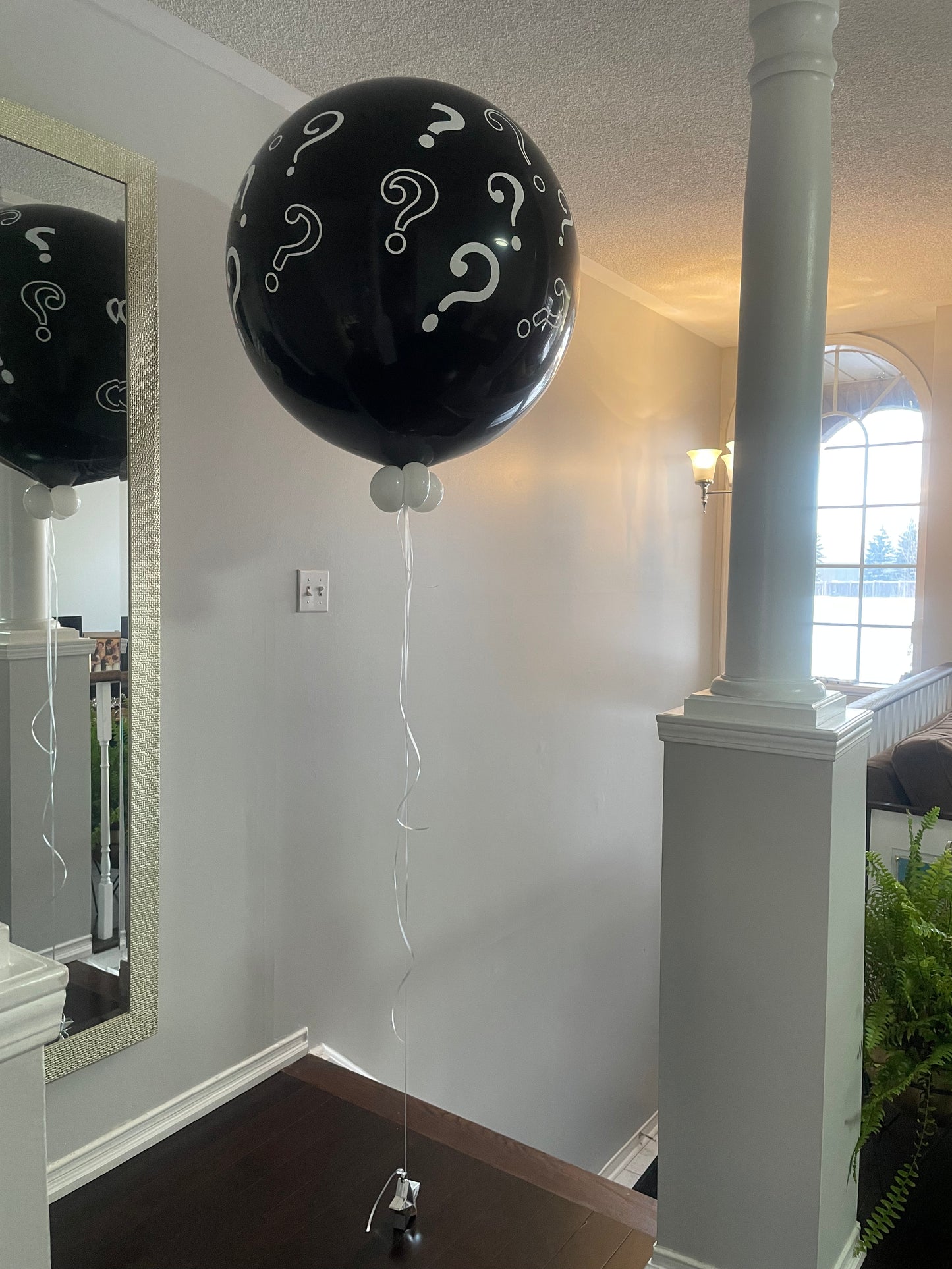 Gender Reveal